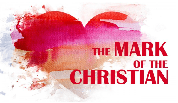 Screenshot 2023-04-04 at 11.18.36 AM