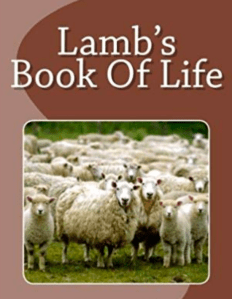 Screen Shot 2018-12-31 at 9.03.42 AM